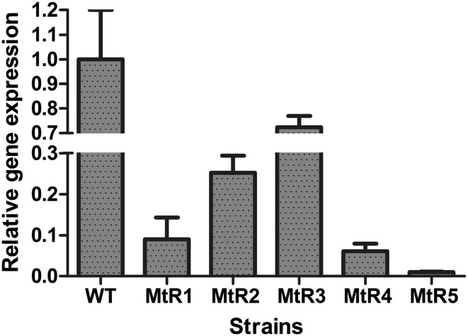 Fig. 2