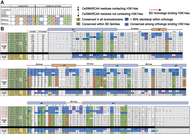 Figure 4