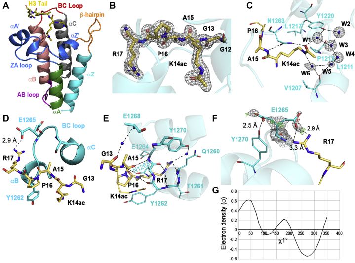 Figure 3