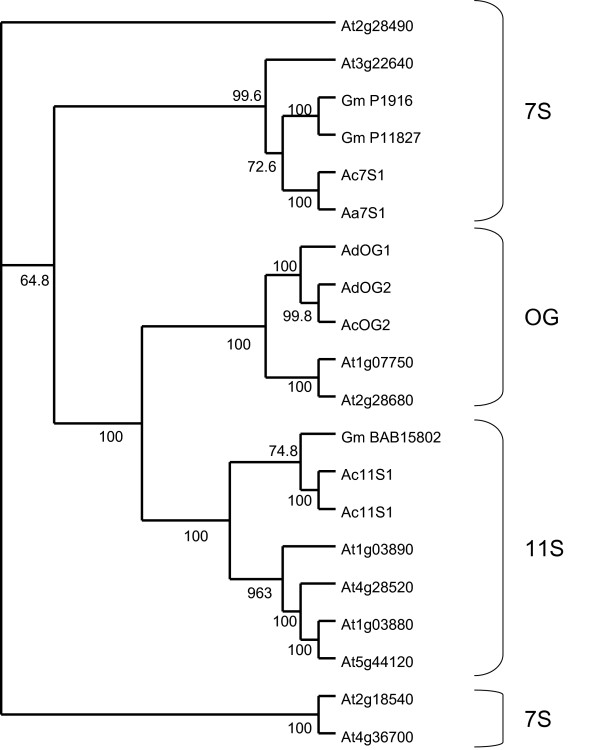 Figure 11