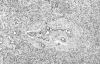 Figure 4)