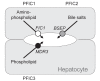 Figure 5)