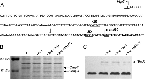 Fig 5