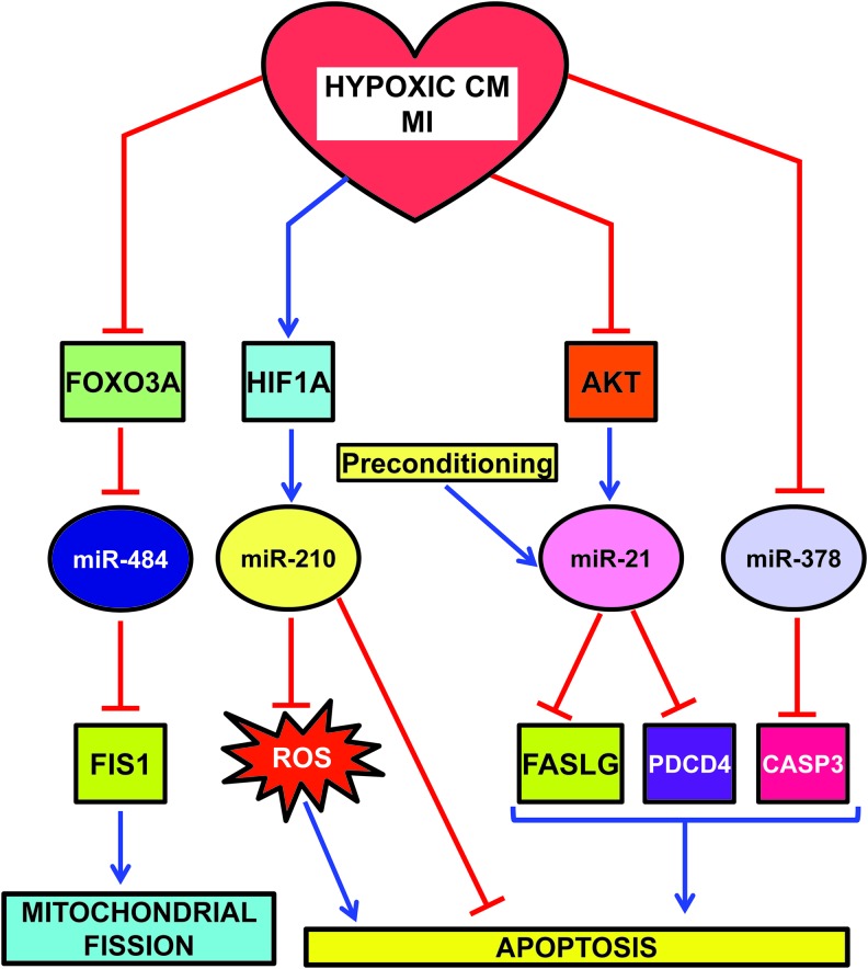 FIG. 6.