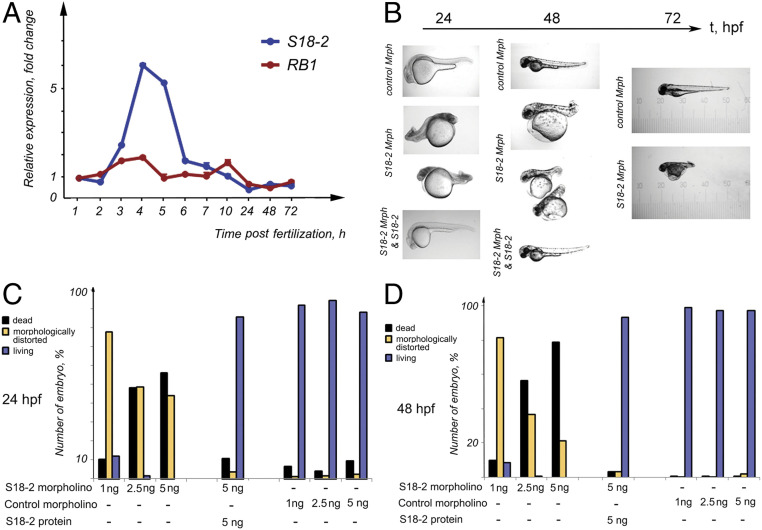 Fig. 6.