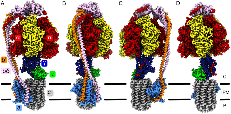 Fig. 1.