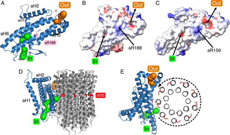 Fig. 6.