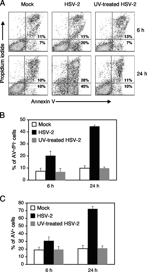 FIG. 1.