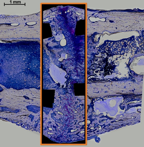 Fig. 2