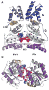 Fig. 1