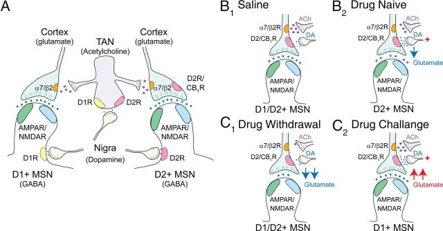 Figure 12.