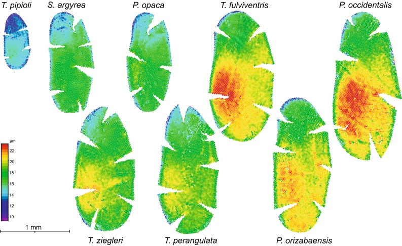 Fig. 3