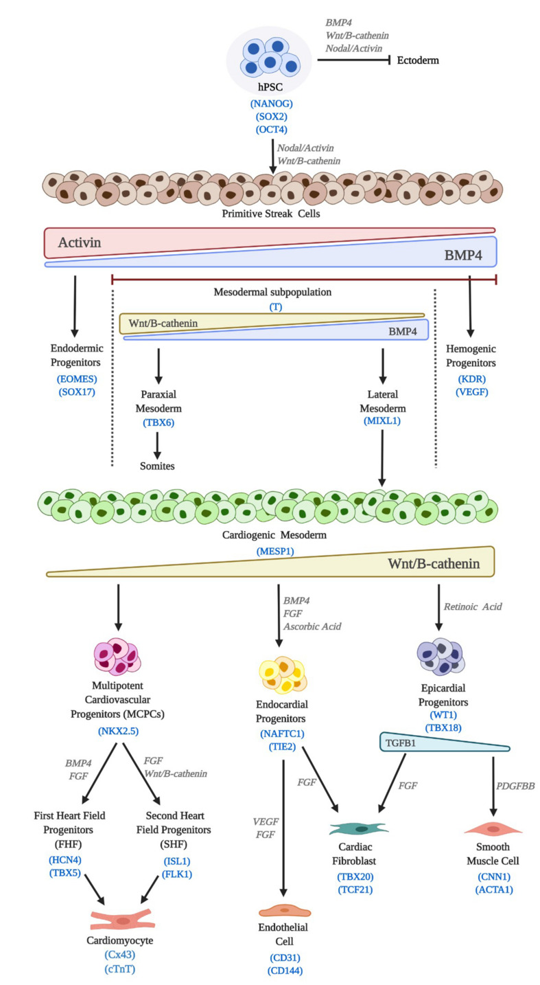 FIGURE 3