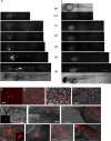 FIG. 4.