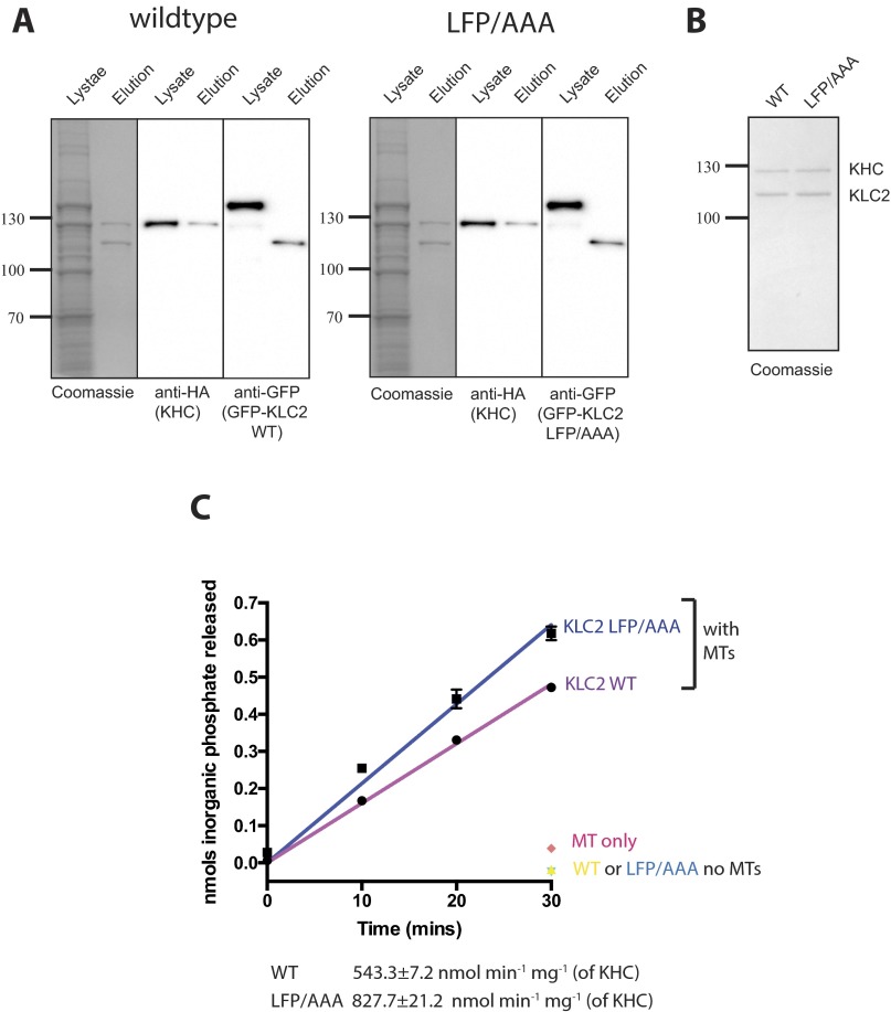 Fig. S4.