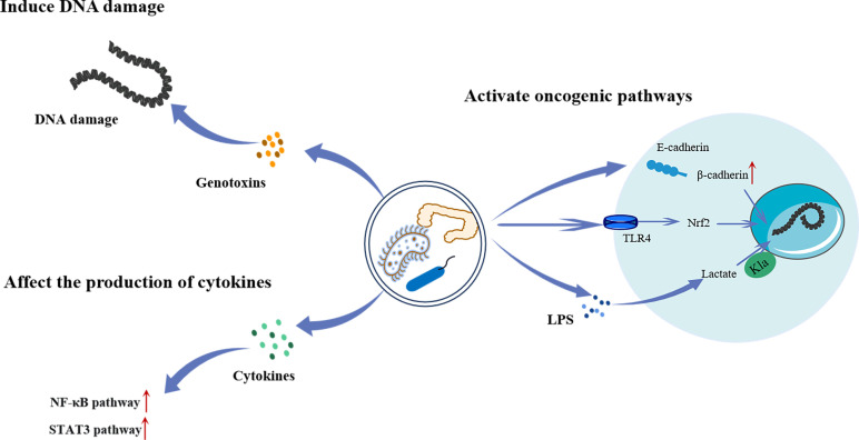 Figure 4