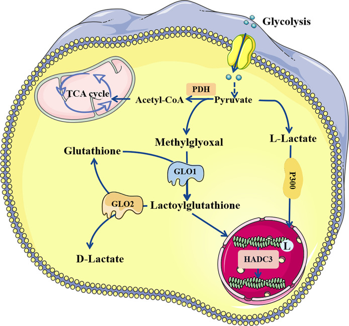 Figure 2