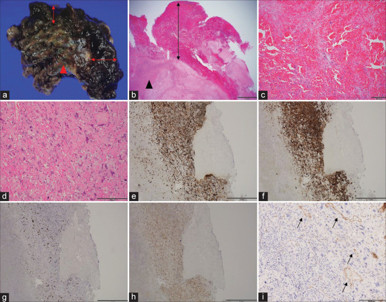 Figure 3: