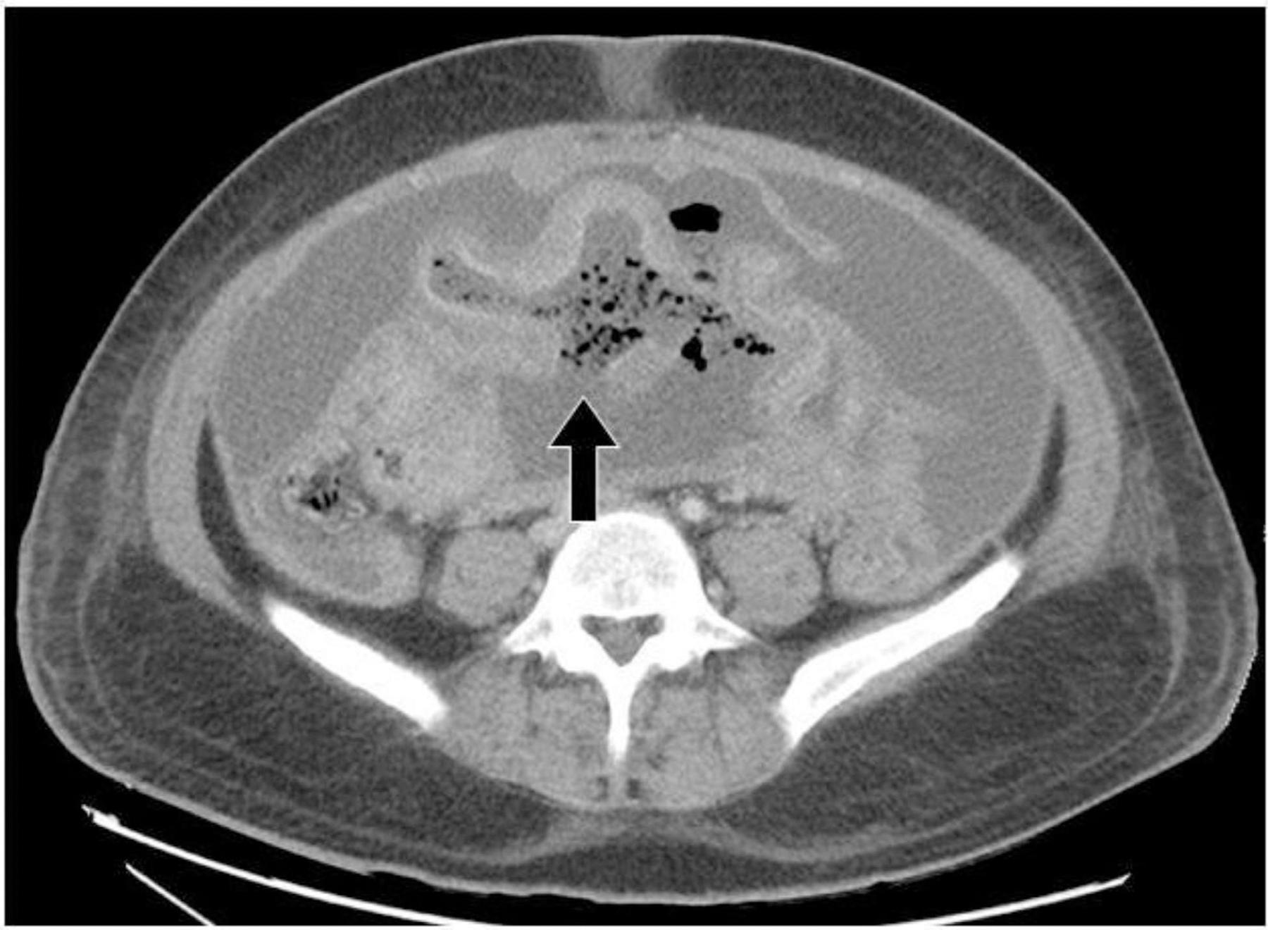Fig. 5: