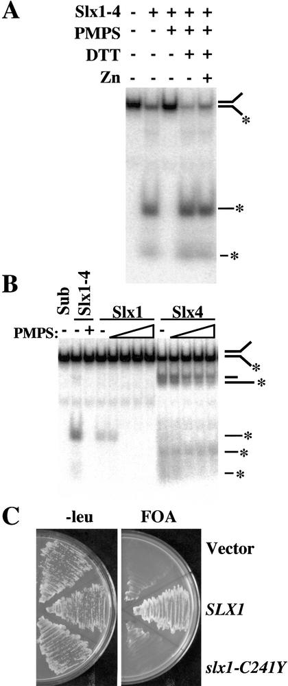 Figure 6.