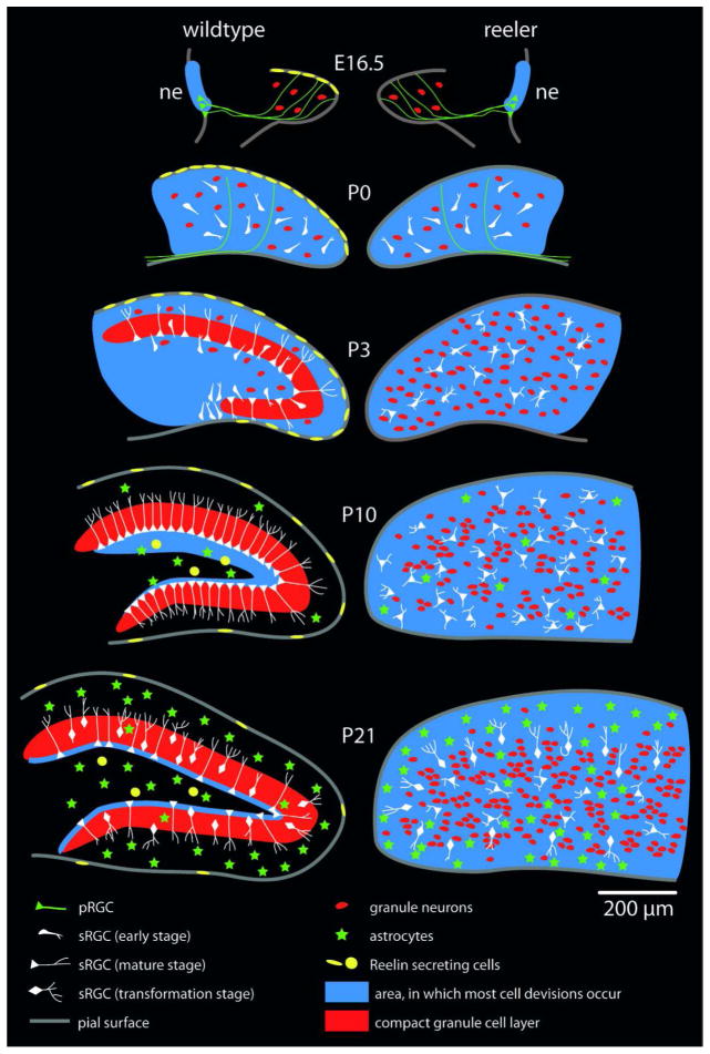 Fig. 11