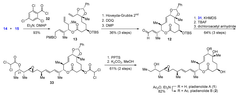 Scheme 3