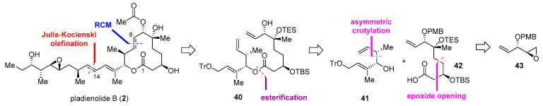 Scheme 5