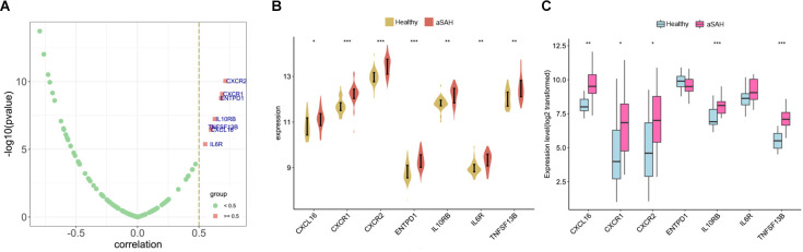 Figure 11