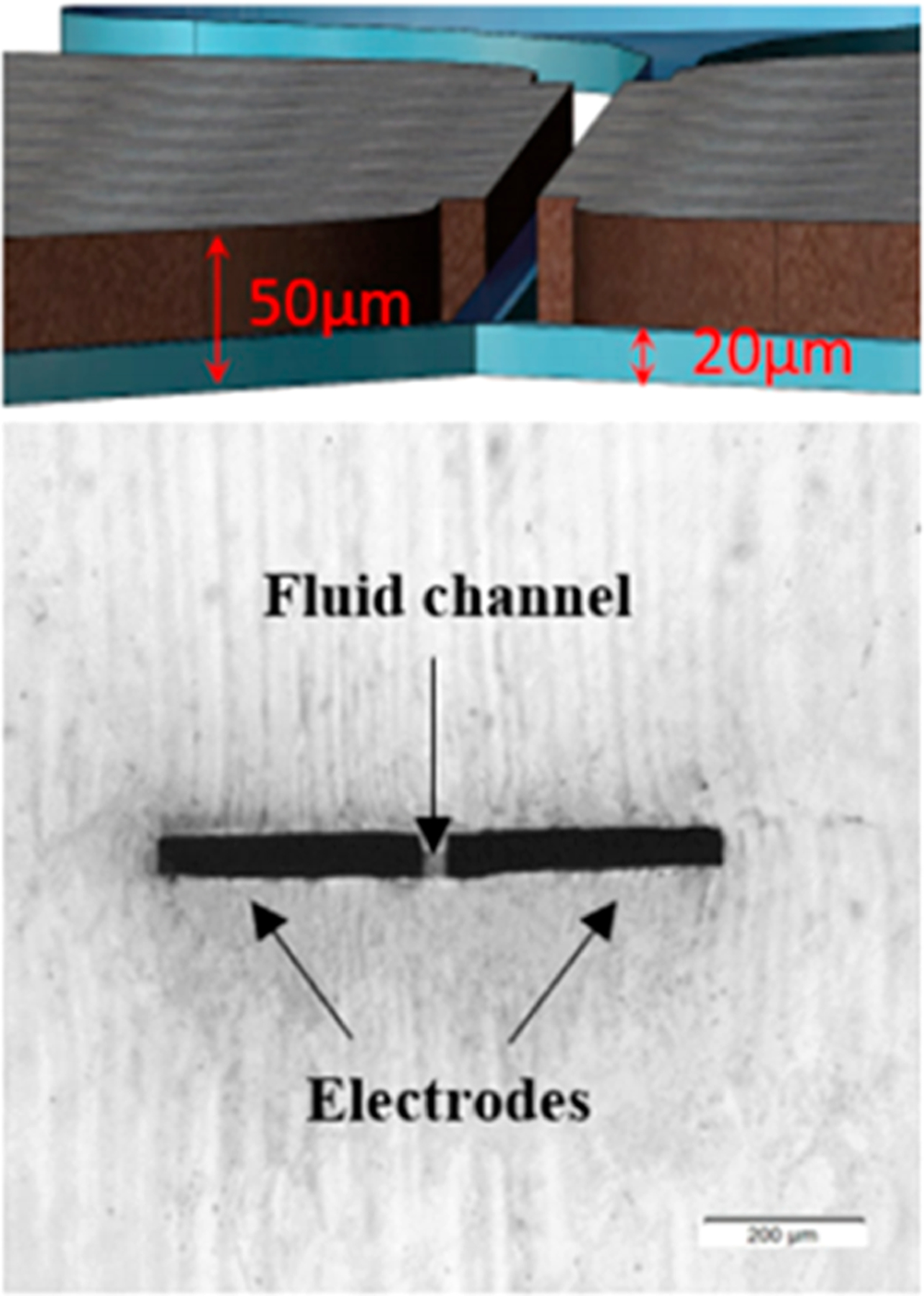 Figure 16.