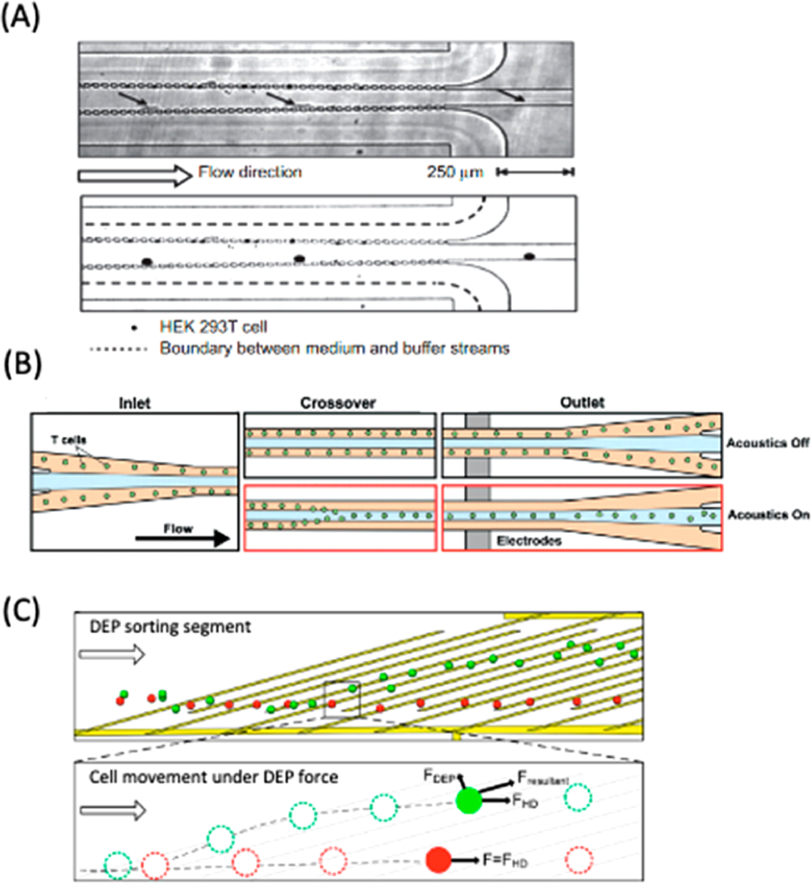 Figure 12.