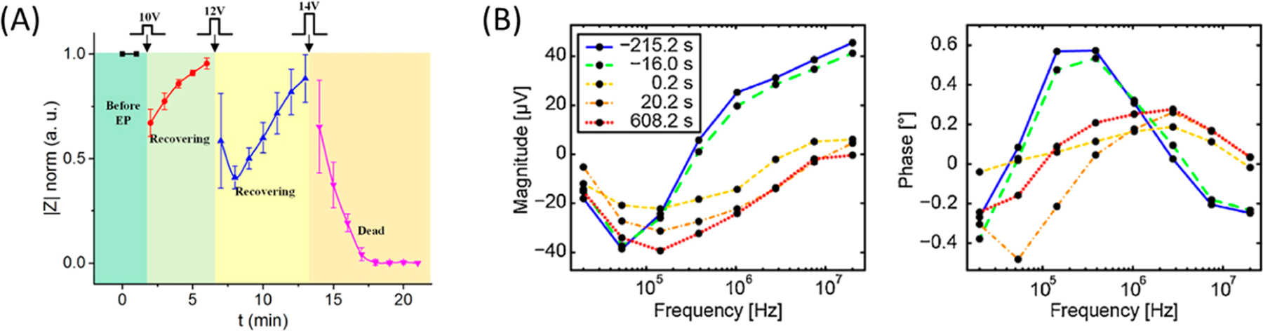 Figure 15.