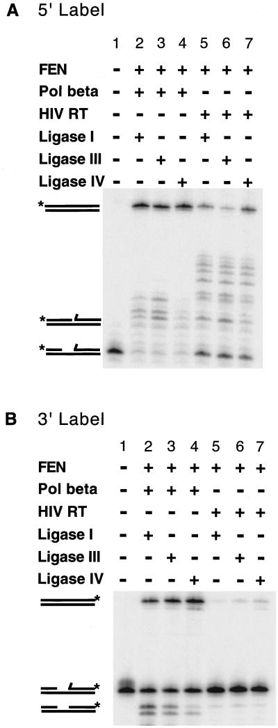FIG. 5