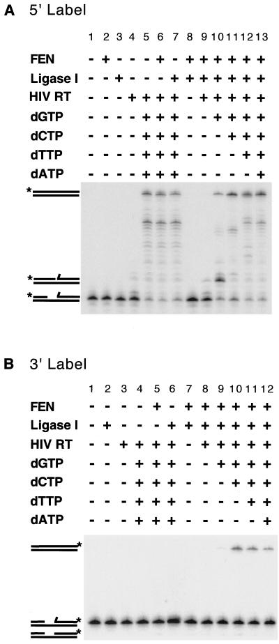 FIG. 4