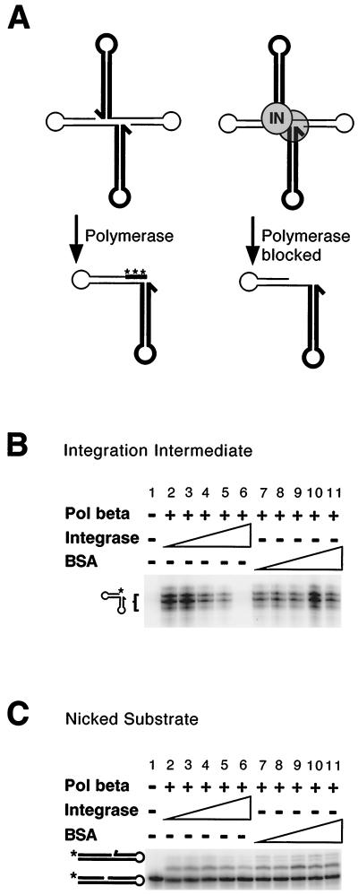 FIG. 8