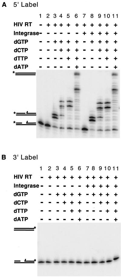 FIG. 7