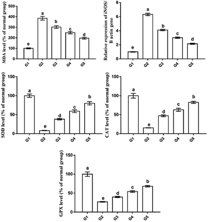 Figure 6.