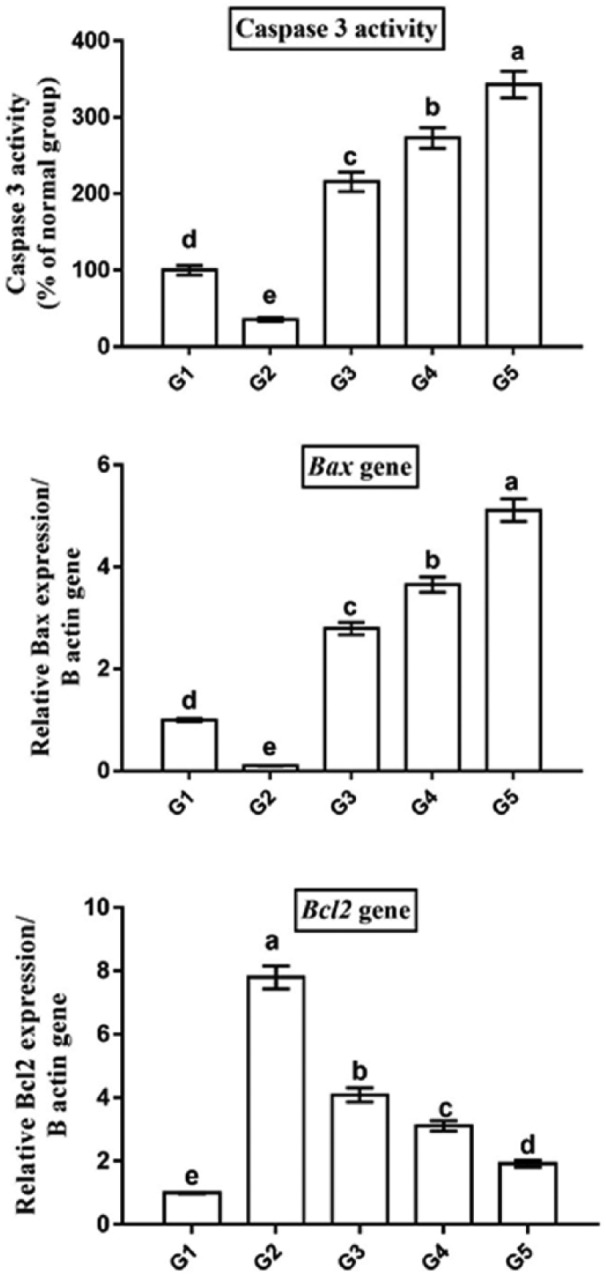 Figure 5.