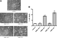 Figure 9.