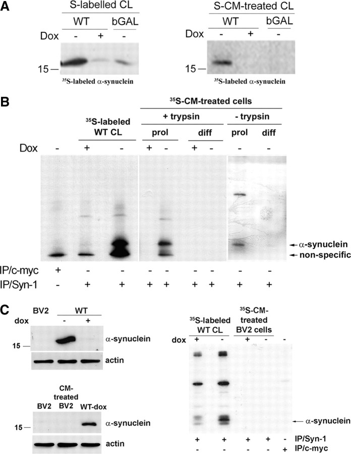 Figure 6.