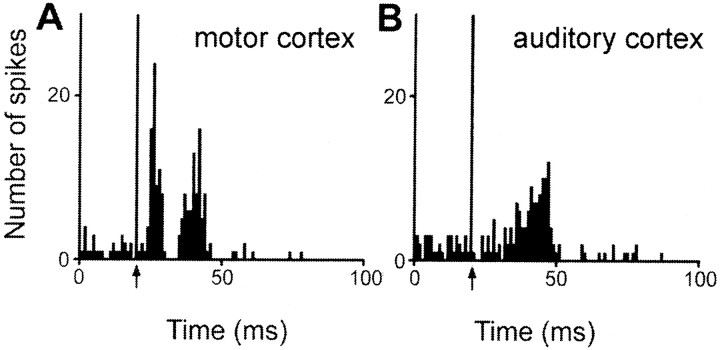 Fig. 11.