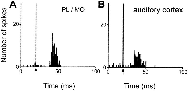 Fig. 10.