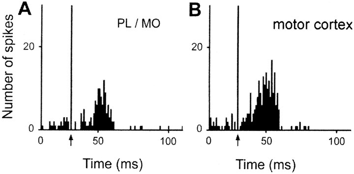 Fig. 9.