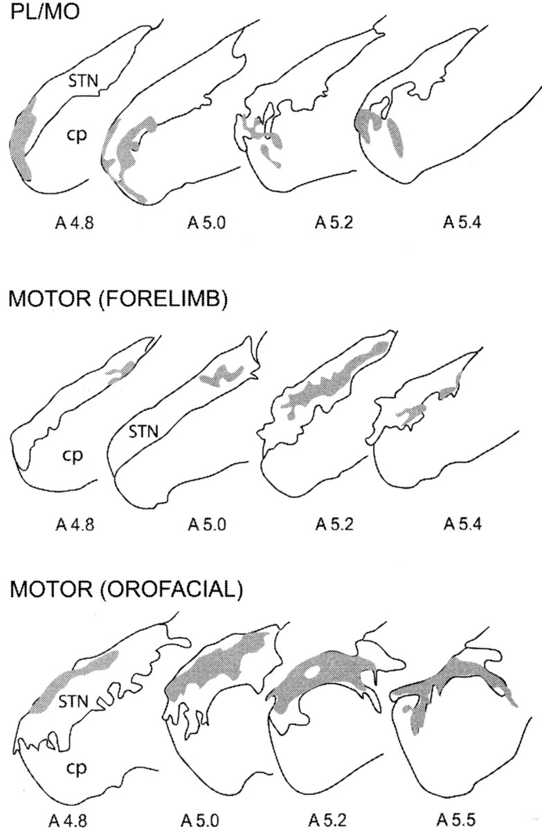 Fig. 3.