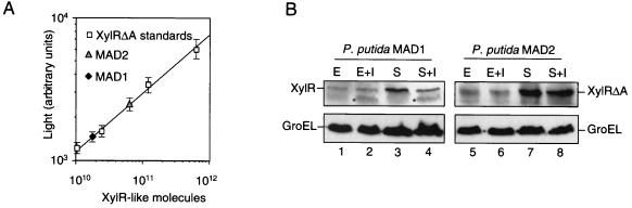 FIG. 7