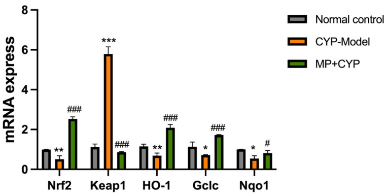 Figure 14