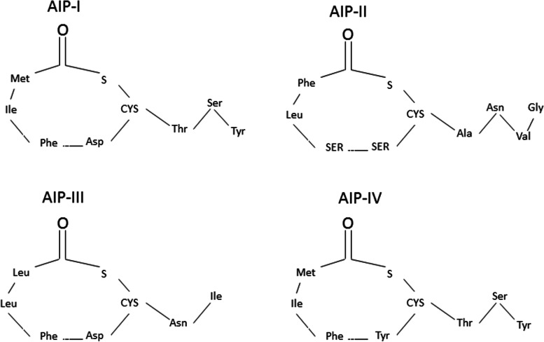 Fig. 5