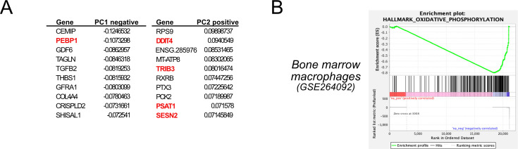 Figure 2—figure supplement 1.