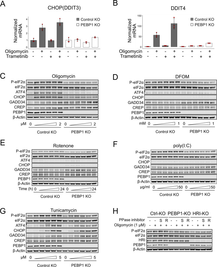 Figure 3—figure supplement 2.