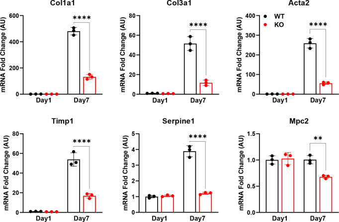 Figure 2: