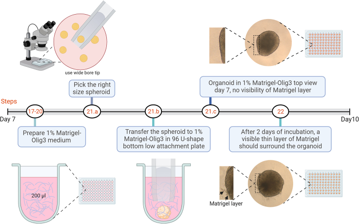 Figure 3